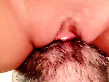 Fucking my Submissive Bitch.  Master male fucker embedding