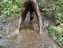 Mud Thing Getting Fucking Dirty !