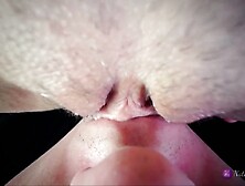 Pov Closeup Licking Creamy Vagina And Clitoris. Real Throbbing Squirt Climax