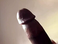 Bored Letting Off A Nut Bbc Cumshot Solo Pov