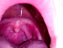 Babyheavanian - Uvula