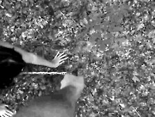 Naked submissive slut taken for a walk on a leash in forest