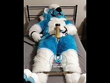 Murrsuiter Milks Himself