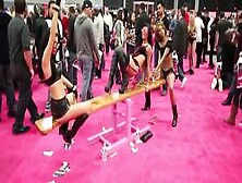 Exxxotica New Jersey 2012