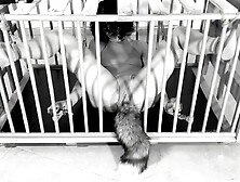 My kitty love to cum and squirt: Cage fetish for irresistible kitty