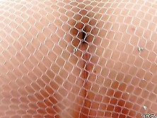 Fishnet Stocking Shemale Drilled Through Ass