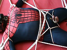 Spiderman Gets A Cbt And Enjoying