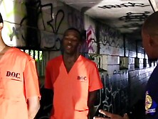 A Couple Of Gangbangers Turn To Gay Banging For Sexual Pleasure While In Prison