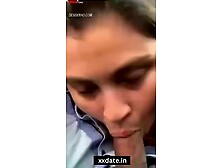 Exotic Beauties - Indian Girl Sucking Dick Near River In Jungle Porn Clip