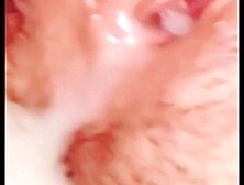 My hairy pussy creampied by 5 cocks