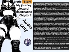 My Trip Toward Sissification - Sissy Male - Chapter Two