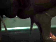 Family Matters #3 - Step-Mom's Hot Affair Exposed