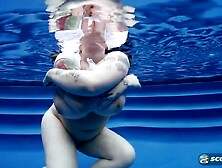 Moist Tee Teaser - Dors Feline