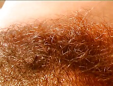 All inside my ass,  can take evrything #1