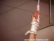 Physical Violence 1. Avi