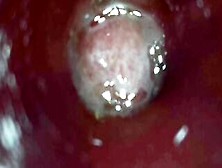 Inside My Virgin Butt And Charming Pink Twat Meat With My 1St Endoscope Attempt In One On My Toys