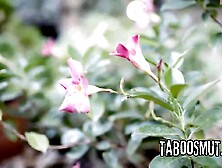 The Hitchhiker - Gracie May Green,  Kissa Sins