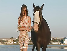 Lovely Babe Is Riding Horse