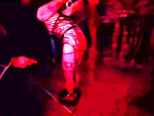 Part 4.  Allegro’s First Experience with Lanista Bear