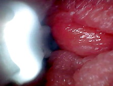 Let's take a peek into my juicy vagina together (endoscope cam)