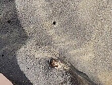 Girl Pissing On The Sea Beach