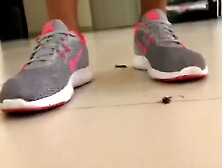Anna squishes cockroaches under her Nike Sneakers!