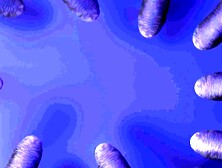 hentaied. 24. 01. 12. ellie. luna. emiri. momota. under. the. blankets