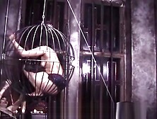 Two kinky mistresses take it out on a caged brunette slave