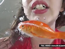 Evil Woman Devours All Her Fish Alive - Vore Giantess