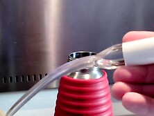 potato mousse with green beans