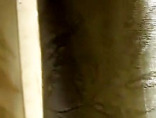 The yard is littered with craving