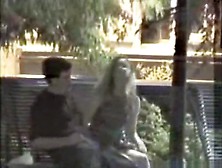 Tapes A Girl Riding Her Bf Upskirt On A Bench In The Park