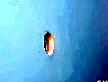 Mandys Sweet Surrender A Tale of Skin and Flesh