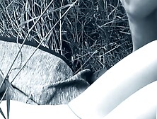 Teenland #3 - German Teens Fucked Hardcore