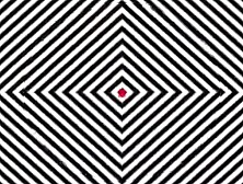 IVON LA COKETA Party