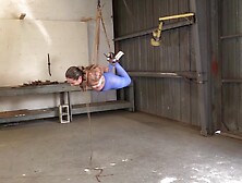 Hogtied & Hung - Capri Cavanni