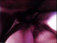 19-40x-12 (fixed). avi