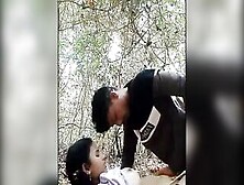 Desi Indian Sex Video Collection