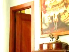 :- OBEY THE DOMINANT OF THE ABODE -: (s&m) =ukmike =