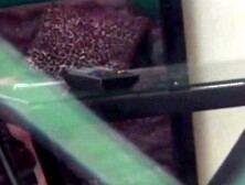 Japanese chick plays with her pussy while watching hot porn