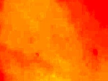 First anal sex video