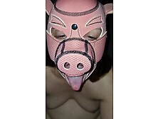 Pig Mask Bbw Slave