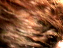 MULLA FUCKS MAE TIL SHE TAPS OUT