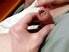 sealed and eaten by Maggots #2