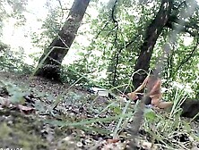 Paranormal activity in Hoia Baciu Forest. mp4