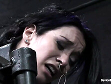 January Seraph and Sarah Jane Ceylon Live