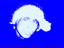 WARMS LIGHTS,  SWEETEST NIGHTS