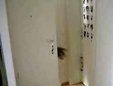 horny amateur couple fuck in all positions - cake eat w