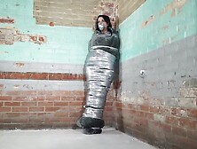 Jj Plush Wrapped In A Blanket And Duct Tape Mummified