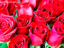 Big natural tits want to be fucked now by Desi Mazaa